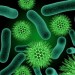 Gut Bacteria: the New Blood Type