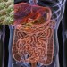 Gut Bacteria: the New Blood Type