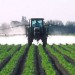 Apples & Onions & Pesticides